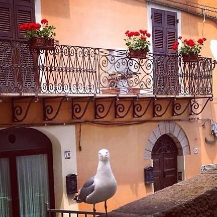 L'Appogghju Bed & Breakfast Castelsardo Exterior photo