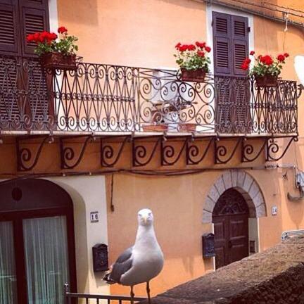 L'Appogghju Bed & Breakfast Castelsardo Exterior photo